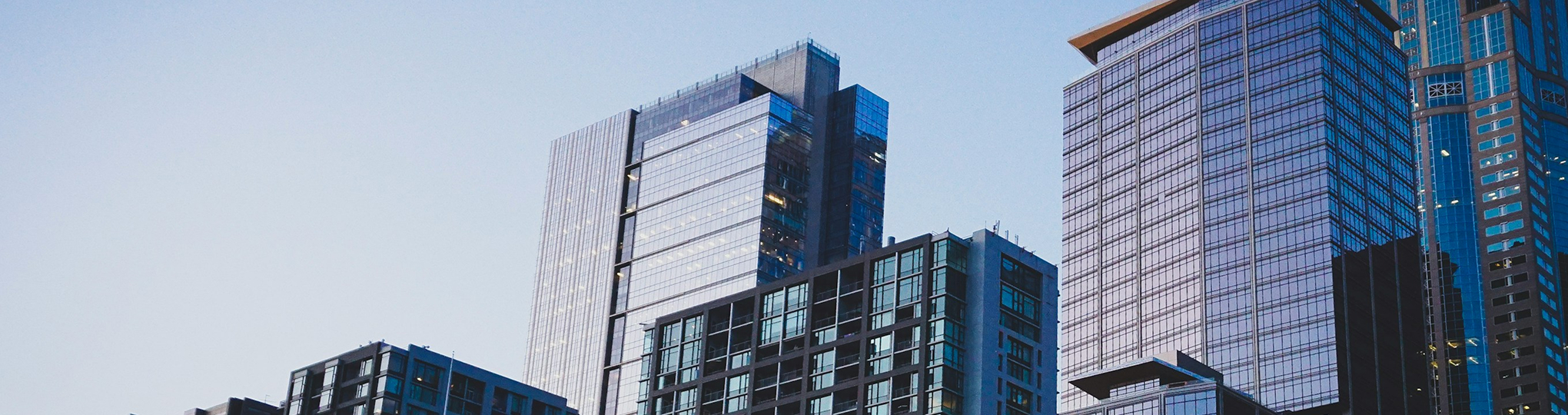 Albert Flores - photo 1