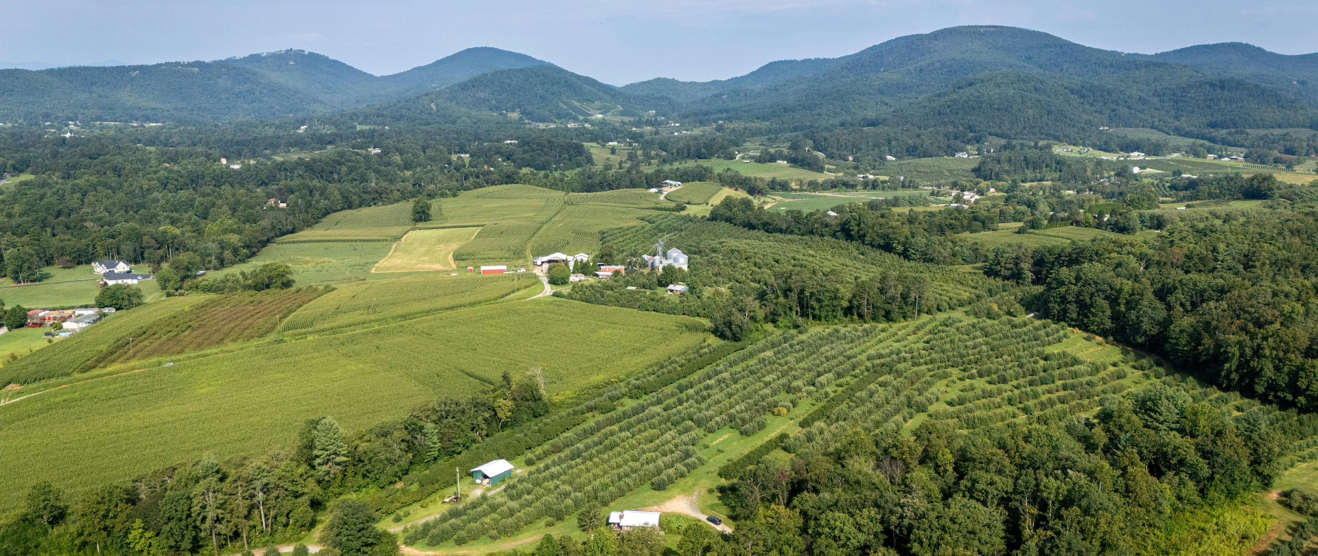 Land Loans NC - photo 3